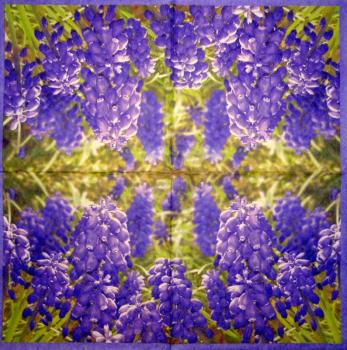 067 Daffodils - 3-ply - Daisy